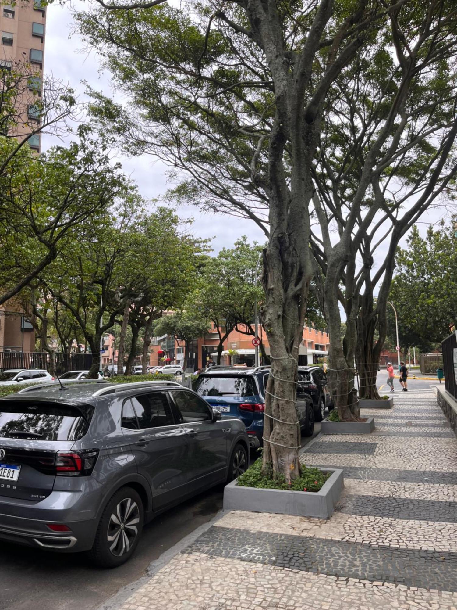 Apto 2qts Alfabarra2-praia Da Barra Da Tijuca Apartamento